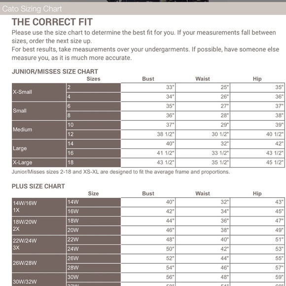 Cato Est 1946 Floral Short Sleeve Stretch Top Size 14/16W - Picture 5 of 6